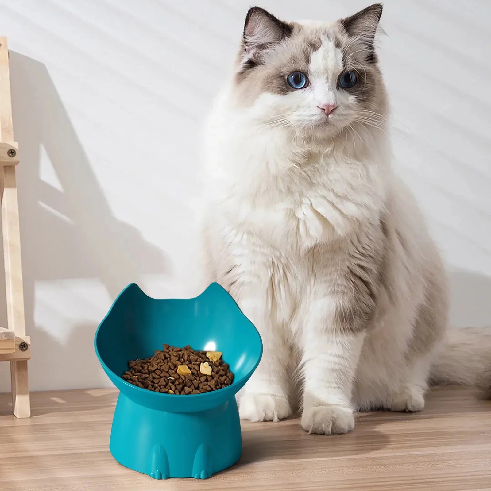 Elevated Pet Feeder Neck Friendly Slanted Bowl for Cats & Dogs