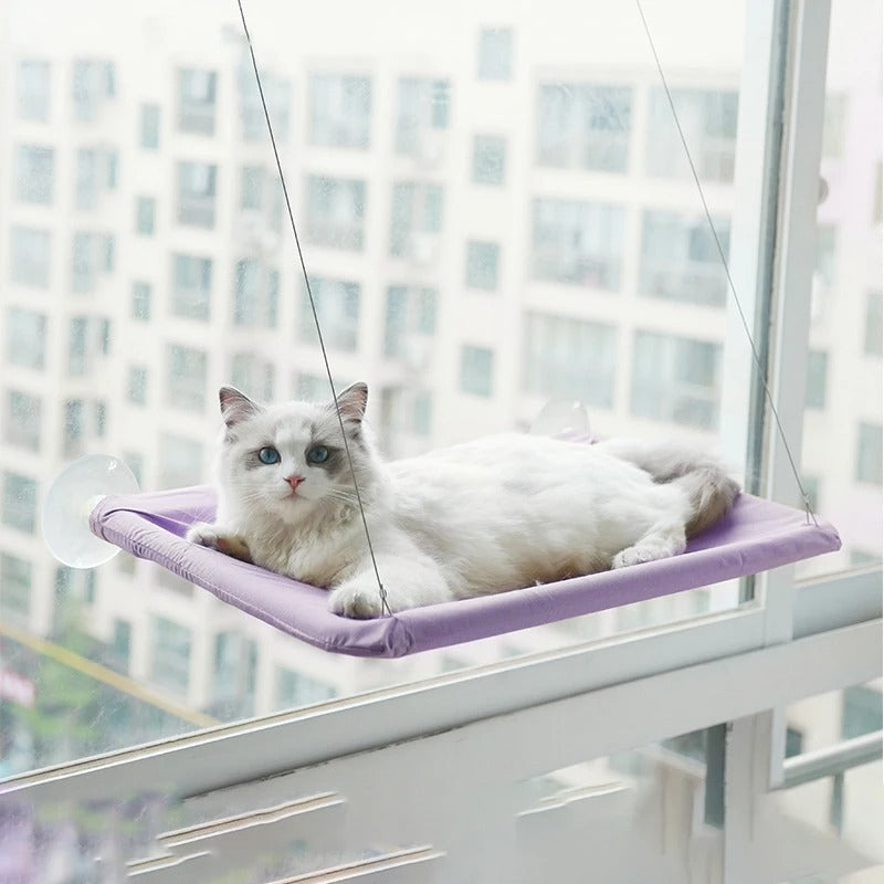 Cat Window Hammock Hanging Sunny Seat & Bed